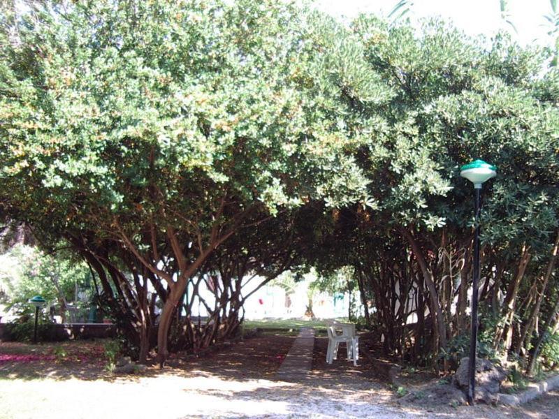 Baia Del Sole Otel Paestum Dış mekan fotoğraf