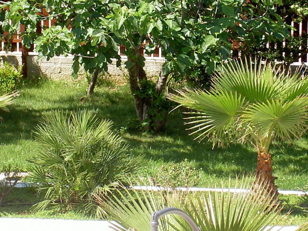 Baia Del Sole Otel Paestum Dış mekan fotoğraf